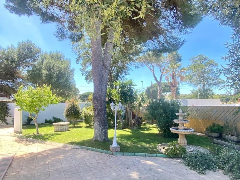 Marisma Home Chiclana de la Frontera Eksteriør bilde